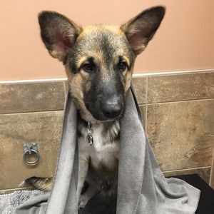 Meet your Posher, Heather